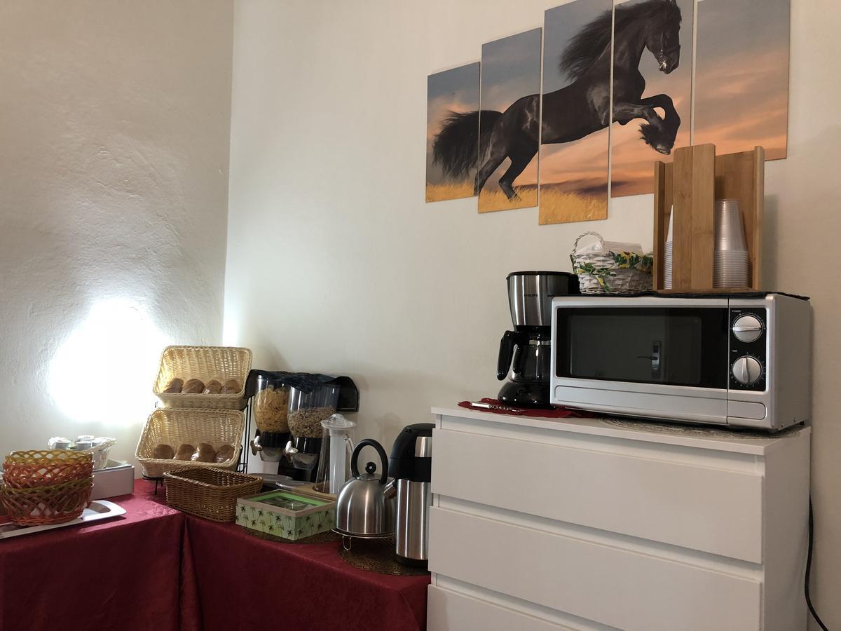 Aliante Turist House Bed & Breakfast Pisa Ngoại thất bức ảnh